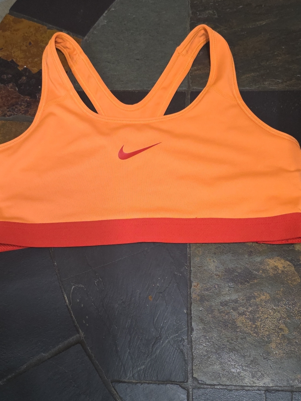 Nike Dri- Fit Sports Bra